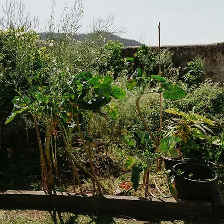 Ferienhaus Casa Do Sorrio - Slow Down, Live Now - Uchill Viana do Castelo