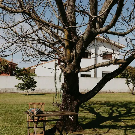 Casa Do Sorrio - Slow Down, Live Now - Uchill Viana do Castelo