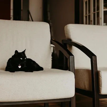 Casa Do Sorrio - Slow Down, Live Now - Uchill Ferienhaus