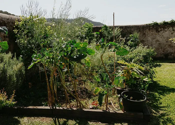 Дом отдыха Casa Do Sorrio - Slow Down, Live Now Виана-ду-Каштелу